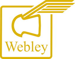 Balines Webley Accupell 0.51gr 4.5mm 500u